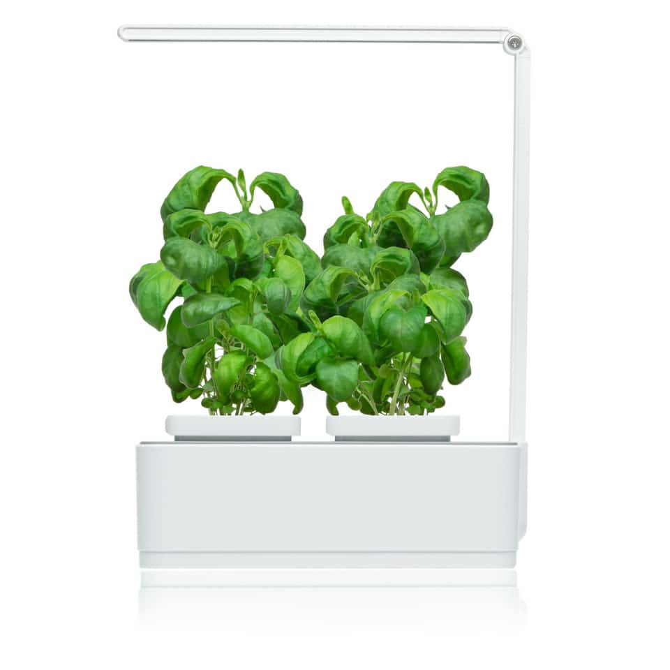 Hydroponic Smart Garden 1 • Microgarden
