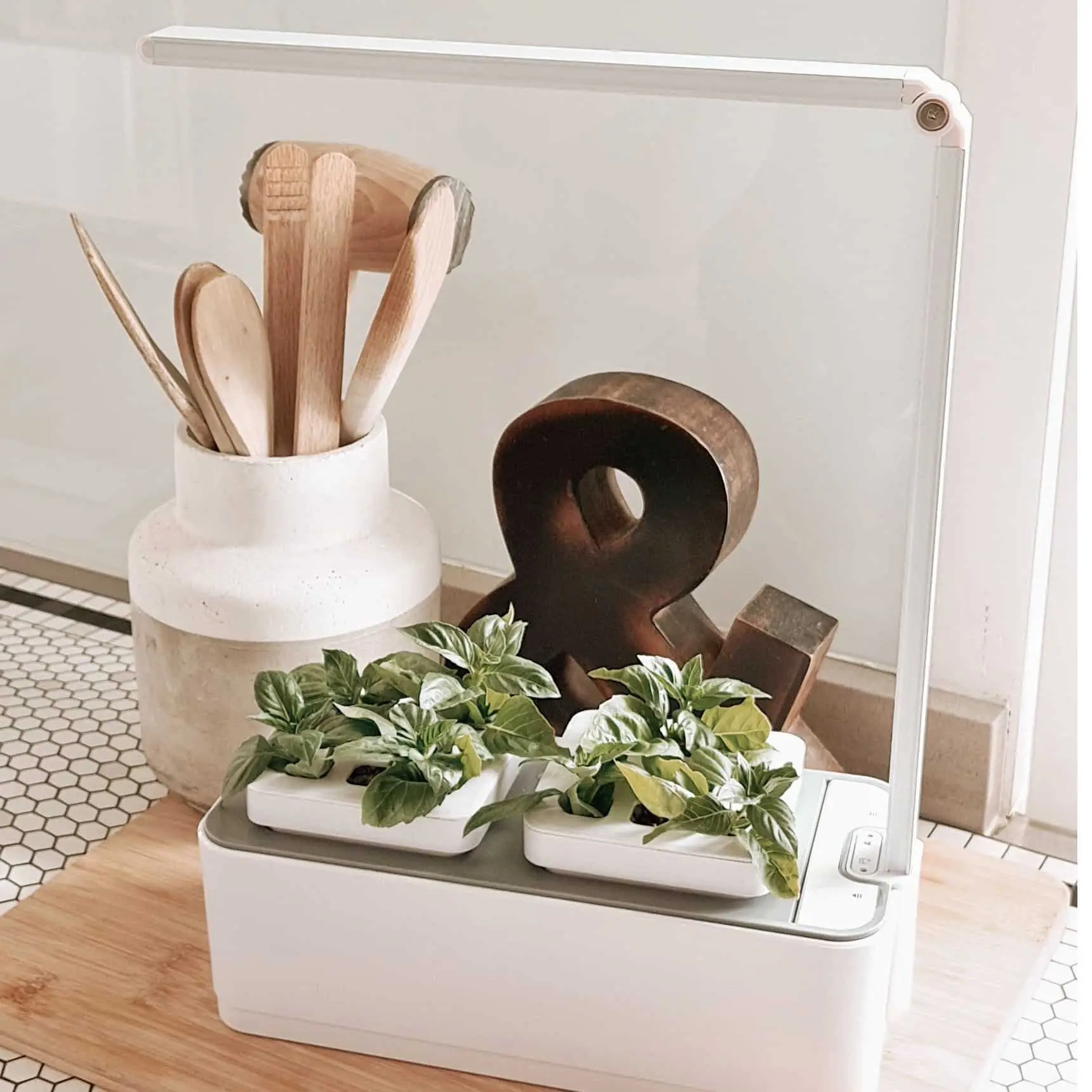 Hydroponic Smart Garden 1 - Image 4
