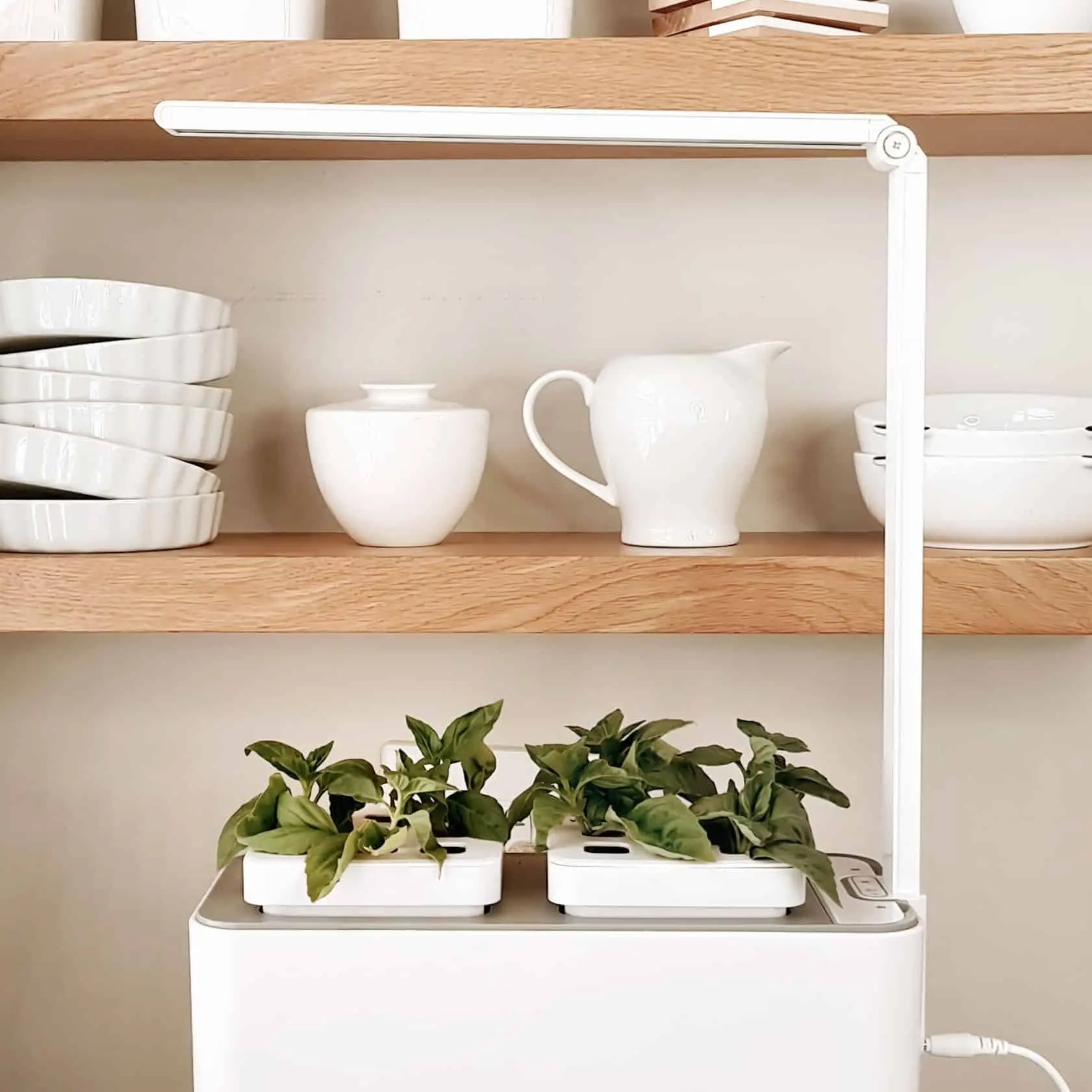 Hydroponic Smart Garden 1 - Image 5