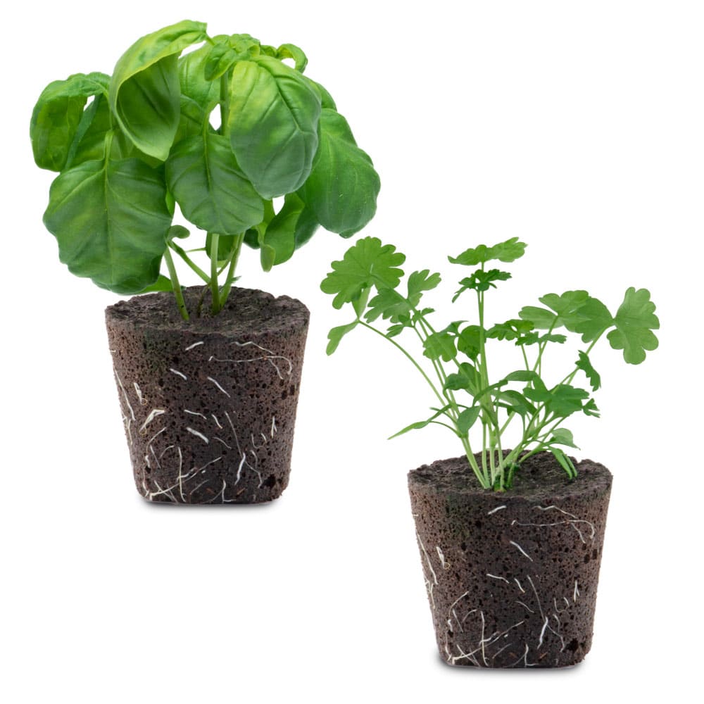 Seed Your Own - Plant Pod - Pack of 10 • Microgarden