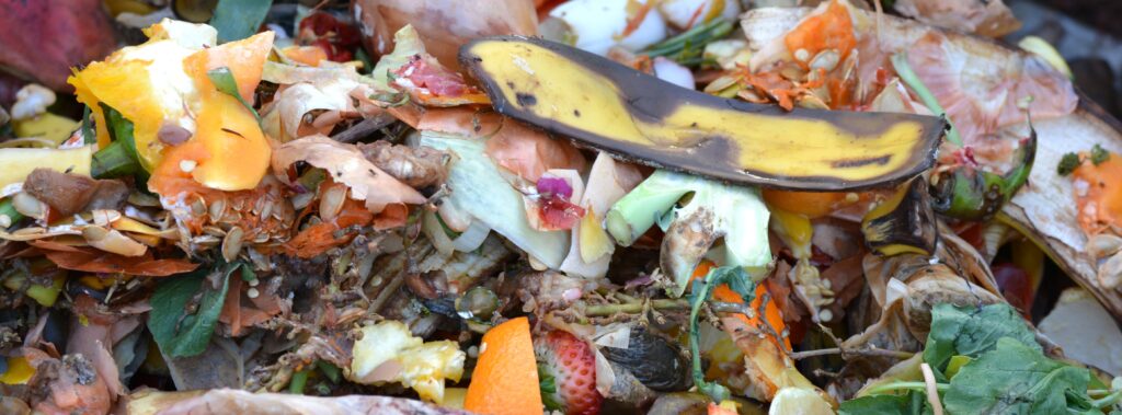 Making Compost_0002