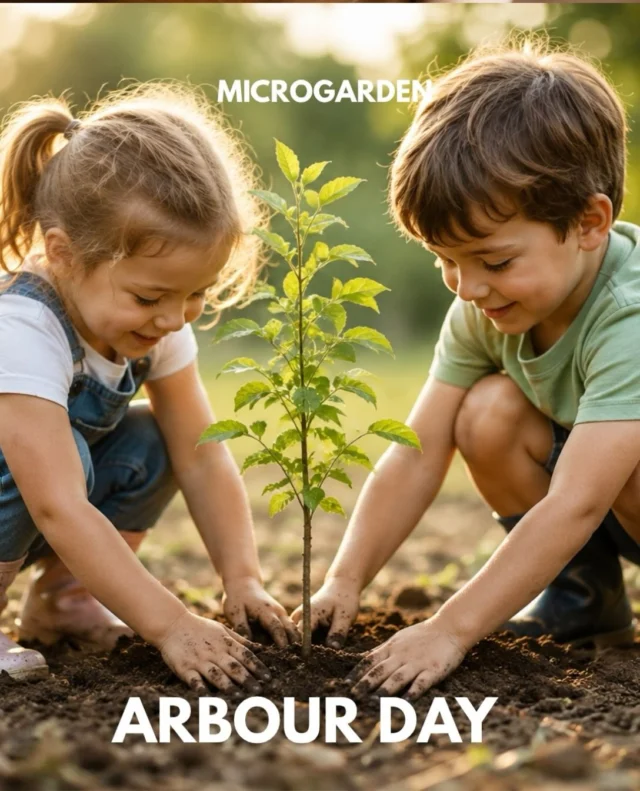 🌱 This Arbor Day, grow something!

Think you’re not much of a gardener? Don’t know where to start? We’ve got you. 💚

Our plant pods take the guesswork out of growing. Each pod comes with a seed already inside and is specially formulated with the correct pH and EC levels to give it the nutrients it needs to get off to a healthy start.

The pod also holds water, helping to keep the seed hydrated and reducing stress as it begins to grow.

Just add water, place it somewhere it can thrive, and watch your little plant come to life. 🌿

From Italian and Asian herbs to edible flowers and catnip, there’s something for every budding gardener.

This Arbor Day, start small. Grow something. 🌱

#ArborDay #MicroGarden #PlantPods #GrowYourOwn #GardeningForBeginners