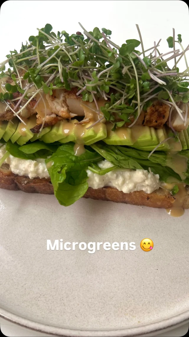 The finishing touch that makes all the difference. 🌱

Take a beautiful sandwich, add a handful of freshly grown microgreens and suddenly lunch feels just a little more gourmet. ✨

Delicate, delicious and packed with goodness, microgreens are such an easy way to add fresh flavour and a lovely little crunch to everyday meals.

And the best part? You can grow them yourself at home. 🌱

Sandwiches, salads, wraps, eggs… where would you add yours?

#MicroGarden #Microgreens #GrowYourOwn #GrowYourOwnFood #HomeGrown